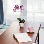 Plac Unii By Renters גדינייה
