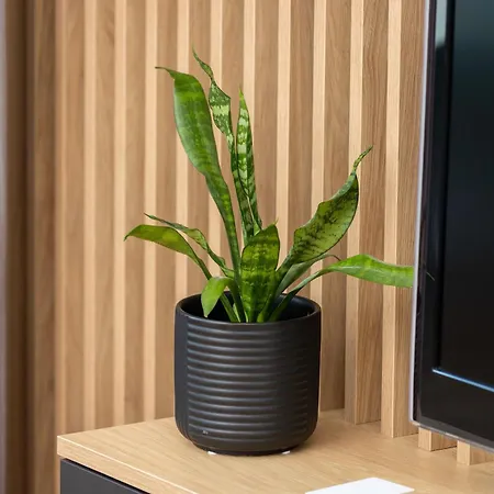 Plac Unii By Renters Appartamento Gdynia